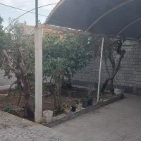رهن کامل ملک ویلایی