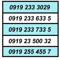 0919.3.997.998|سیمکارت|کرج, استاندارد|دیوار