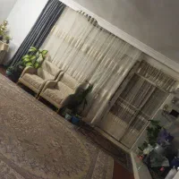 اجاره-منزل-ویلایی