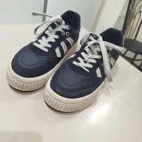 کفش|کیف، کفش، کمربند|تربت‌حیدریه, مظفریه|دیوار