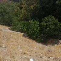 باغ فوری فروشی|فروش دفتر صنعتی، کشاورزی، تجاری|کن, |دیوار