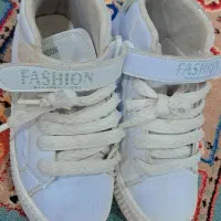 کفش|کیف، کفش، کمربند|اندیمشک, |دیوار