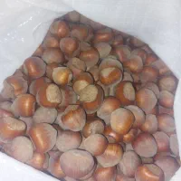 فندق مغزدار مرغوب وعالی برای فروش دارم