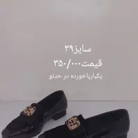 ۵ جفت کفش در حد نو|کیف، کفش، کمربند|لنجان, |دیوار