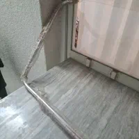 دو عدد شیر و یه علت دوش نو نو