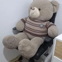 خرس بزرگ خارجی