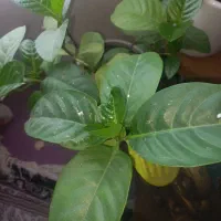 اسپلیت خراب