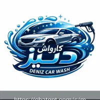 نیروی کارواش