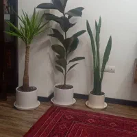 فروش آپارتمان ۵۰متری