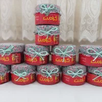 استخدام ویزیتور