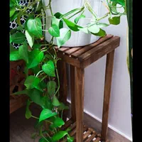 پایه گل و کارهای چوبی.پاسماوری میز بار|گل و گیاه طبیعی|نیشابور, باغرود|دیوار