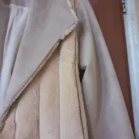 پالتو