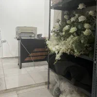 منشی خانم پاره وقت