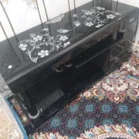 میز تی وی