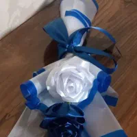 روبان شاین دار