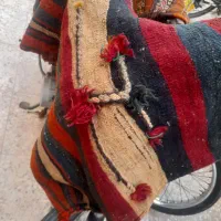جاجیم|گلیم، جاجیم، گبه|شیراز, کوشک میدان|دیوار
