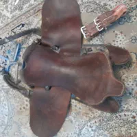 اسب مادیان کره اسب