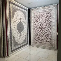 ۹ متری|فرش|کرج, کوی کارمندان شمالی|دیوار