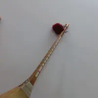 دوتار کاسه بزرگ|سازهای سنتی|بجنورد, |دیوار