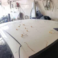 دنا تصادفی|خودرو سواری و وانت|اسفراین, |دیوار