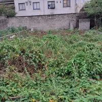 فروش زمین با سند تک برگ|فروش زمین و ملک کلنگی|رشت, سیا اسطلخ|دیوار