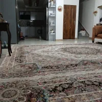 3ط-3واحد
