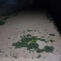 زمین-کلاته-یاور95متری