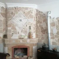 باشگاه  اسب سوئیت محمودی