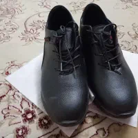 کفش|کیف، کفش، کمربند|زنجان, |دیوار