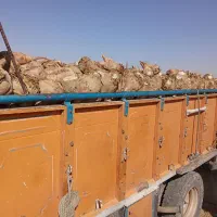 چغندر قند درجه یک،کاه و پرس،تحویل درب دامداری|خدمات باغبانی و درختکاری|سبزوار, ابارش|دیوار