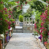 هم خونه میشم