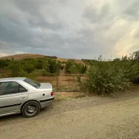 باغ هزار متر قلیان