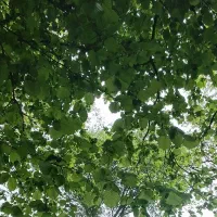 1009-متر-زمین-مسکونی