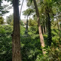 سعادت‌آباد‌ ۱واحد از ۲واحد با قدرالسهم ارزنده