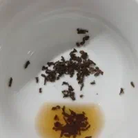 فال و طالع دقیق|خدمات پذیرایی، مراسم|یزد, |دیوار