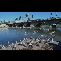 مالکم228متر16متر برتجاری تهاترباتعدادی واحدیا فروش|فروش آپارتمان|تنکابن, |دیوار