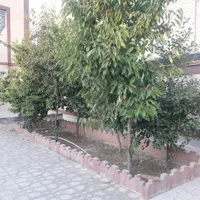 فروش آپارتمان ۲۰۵ متری ۲ خوابه همکف در صیدآباد|فروش آپارتمان|مشهد, صیدآباد|دیوار