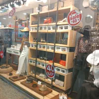 استخدام 3 خانم حقوق از30تا 50 میلیون