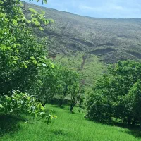 راهنمایی تفریحی