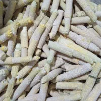 علوفه ی بلال