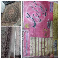 یک جفت فرش ۱۲ متری