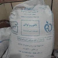 آرد خبازی
