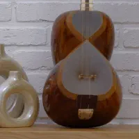 ساز تار ساخته آذر ۱۴۰۴ ( ساخته ناصر برزی )|سازهای سنتی|تهران, تهرانسر غربی|دیوار