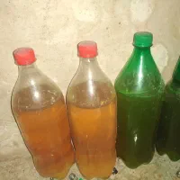 آب نارنج خالص 4 عدد 700هزار