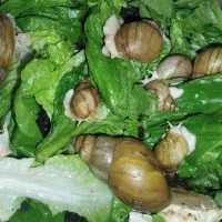 حلزون بهداشتی