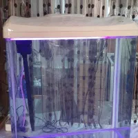 آکواریوم ماهیران|ماهی|اصفهان, رهنان|دیوار