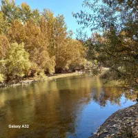 باغ ویلا وسویت اجاره ای باغبادران