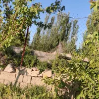 پرورش ماهی|فروش دفتر صنعتی، کشاورزی، تجاری|بکتاش, |دیوار