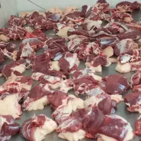 وزن حضور مشتری باسکول دقیق زیرنظربازراس|حیوانات مزرعه|مشهد, کشاورز|دیوار