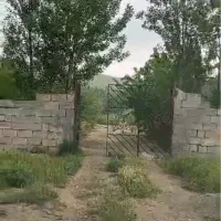 باغ-خوش-ییلاق-آلبالو-گیلاس
